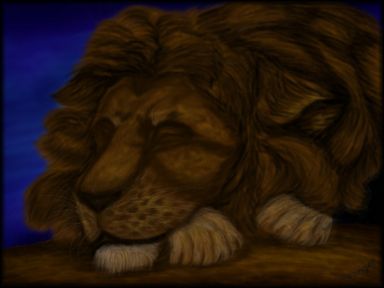 Lion in the Night