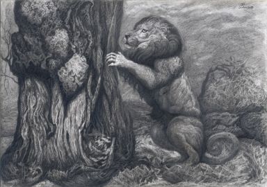 Лев точит когти