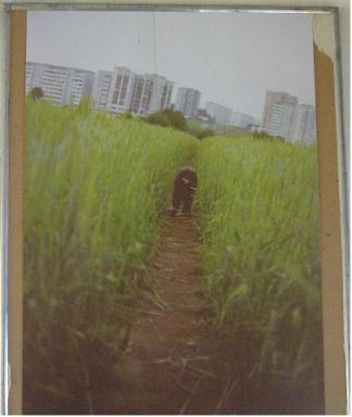Джульета