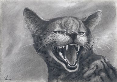 Кричащий сервал