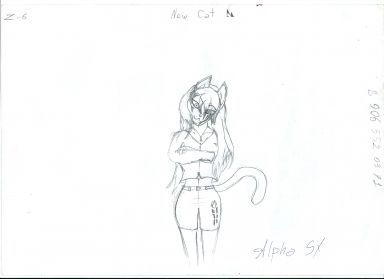 New Cat