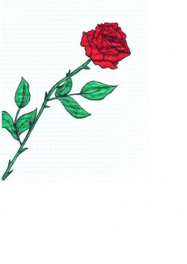 Розочка