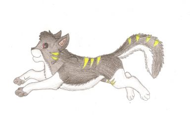 Коршун