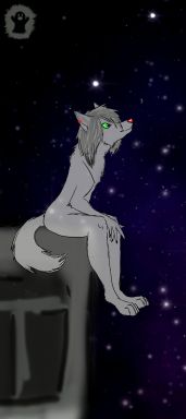 Stars