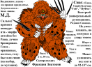 Сиах - универсальный рукопашник. Сианоид. (Фурри арт)