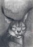 Голодный   каракал (Psychodelic anthro and animalistica)