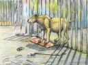 Lioness' escape (Psychodelic anthro and animalistica)