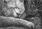 Портрет медведя (Psychodelic anthro and animalistica)
