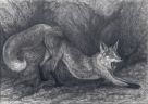 Лиса потягивается (Psychodelic anthro and animalistica)