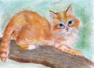 кошка на дереве (Анималистика)