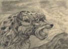 Снежный Барс... (Psychodelic anthro and animalistica)