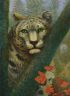 Осень снежного барса (Psychodelic anthro and animalistica)