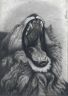 Львиный зев (Psychodelic anthro and animalistica)