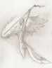 Valkyrie