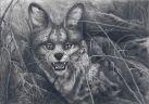 Сервал в зарослях (Psychodelic anthro and animalistica)