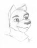 фуррик (tearful wolf(прошу строго не…)