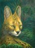 Портрет сервала (Psychodelic anthro and animalistica)