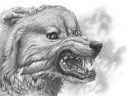 Тихая ярость (Psychodelic anthro and animalistica)