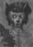 Поэт (Psychodelic anthro and animalistica)