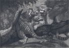 Тигрята-подростки играют