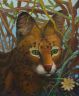 Шустрый сервал (Psychodelic anthro and animalistica)