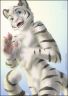 Аватар RaymeTiger