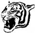 Аватар black_tiger